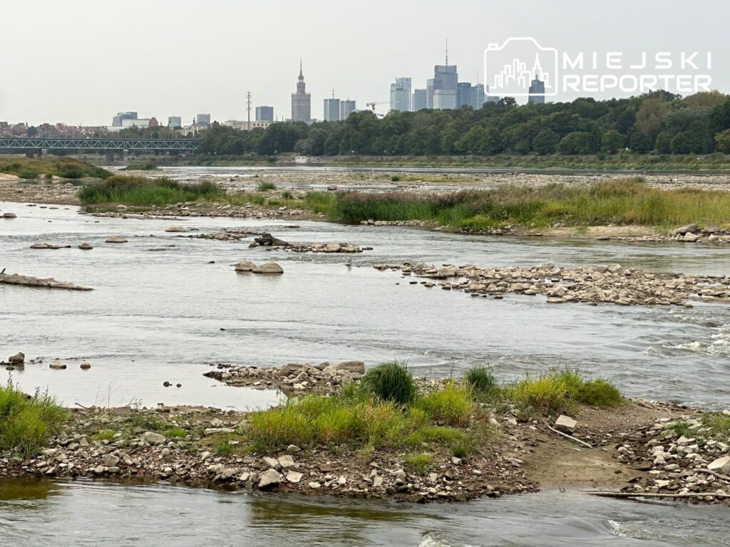 a river with rocks and grass and trees in the background