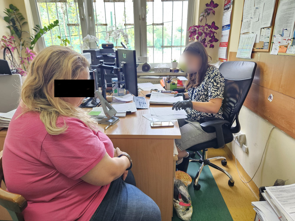 Kobieta w różowej koszulce siedzi na krześle w biurze, rozmawiając z pracowniczką w rękawiczkach. Na biurku znajdują się dokumenty oraz komputer. W tle widać rośliny i okno, przez które wpada naturalne światło. Scena ilustruje spotkanie w sprawie formalności biurowych.