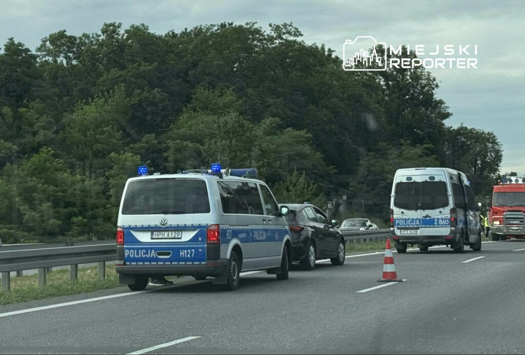 Policyjny van z włączonymi sygnałami świetlnymi zatrzymany przy drodze, obok stoi osobowy samochód oraz pachołek drogowy.