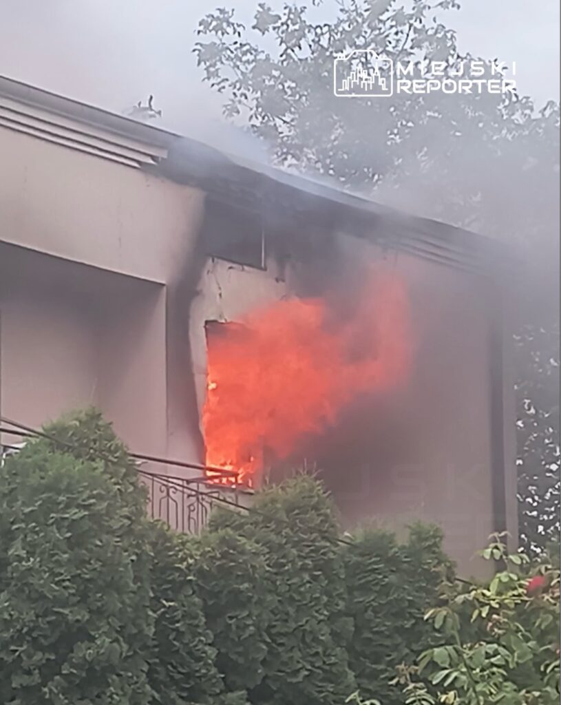 Płomienie wydobywające się z okna budynku, otoczone dymem i zielonymi krzewami.