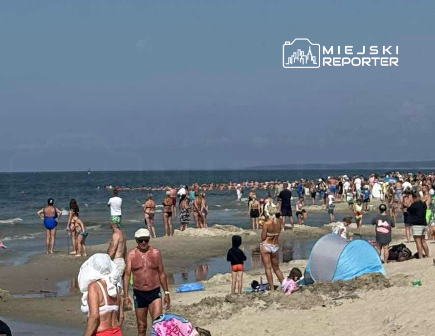 Tłum ludzi w strojach kąpielowych bawi się na plaży, a w tle widać morze i błękitne niebo.