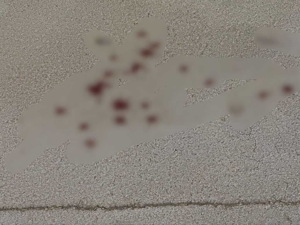 Na nawierzchni widać plamy krwi w różnych miejscach.