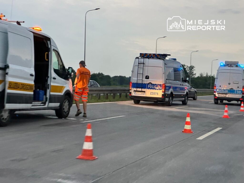 Mężczyzna w pomarańczowej kamizelce kieruje ruchem obok policyjnych furgonetek na drodze.