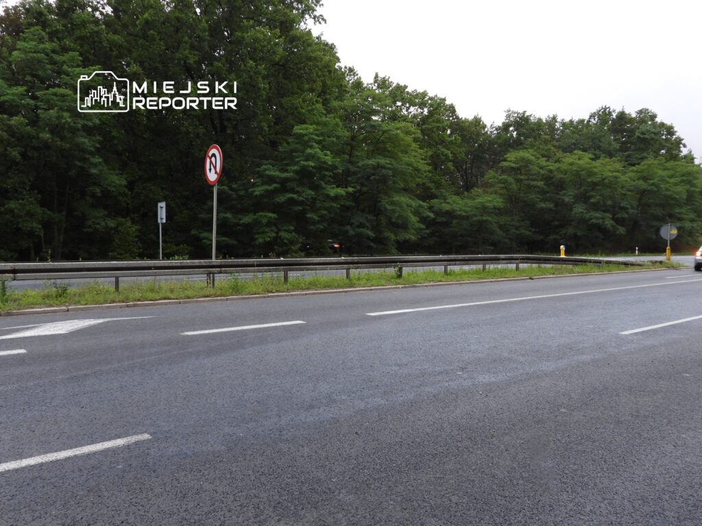 Rondo z oznaczeniem zakazu skrętu w lewo, otoczone zielenią, wzdłuż drogi.