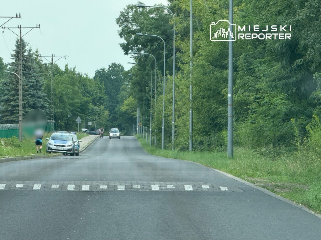 Na drodze w otoczeniu zieleni, pieszy idzie wzdłuż jezdni obok radiowozu, a w tle przejeżdża rowerzysta.