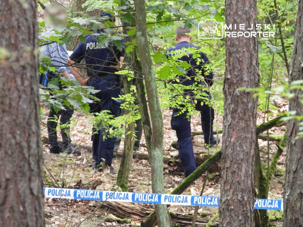Grupa policjantów prowadzi czynności dochodzeniowe w lesie, otoczeni przez drzewa i policyjną taśmę.