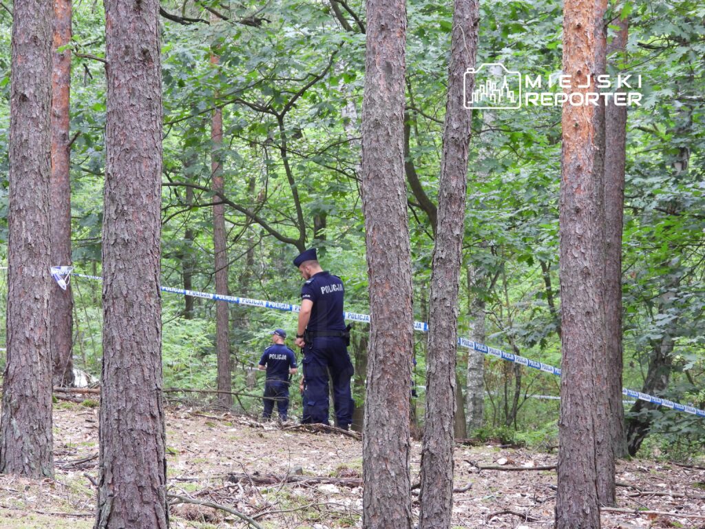 Dwaj policjanci przeszukują teren leśny, w tle widoczne taśmy zabezpieczające z napisem "POLICJA".