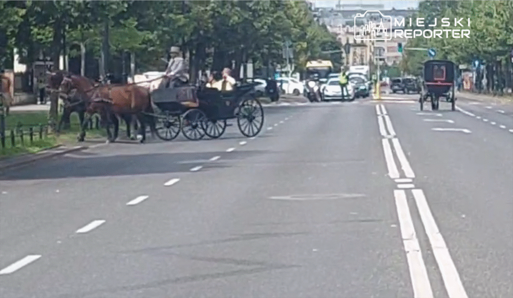Na ulicy w mieście odbywa się ruch konny. Widzimy dwie bryczki zaprzęgnięte w konie oraz ich kierowców. W tle widać pojazdy drogowe oraz funkcjonariuszy policji kierujących ruchem. Scena przedstawia tradycyjny transport w miejskim otoczeniu.