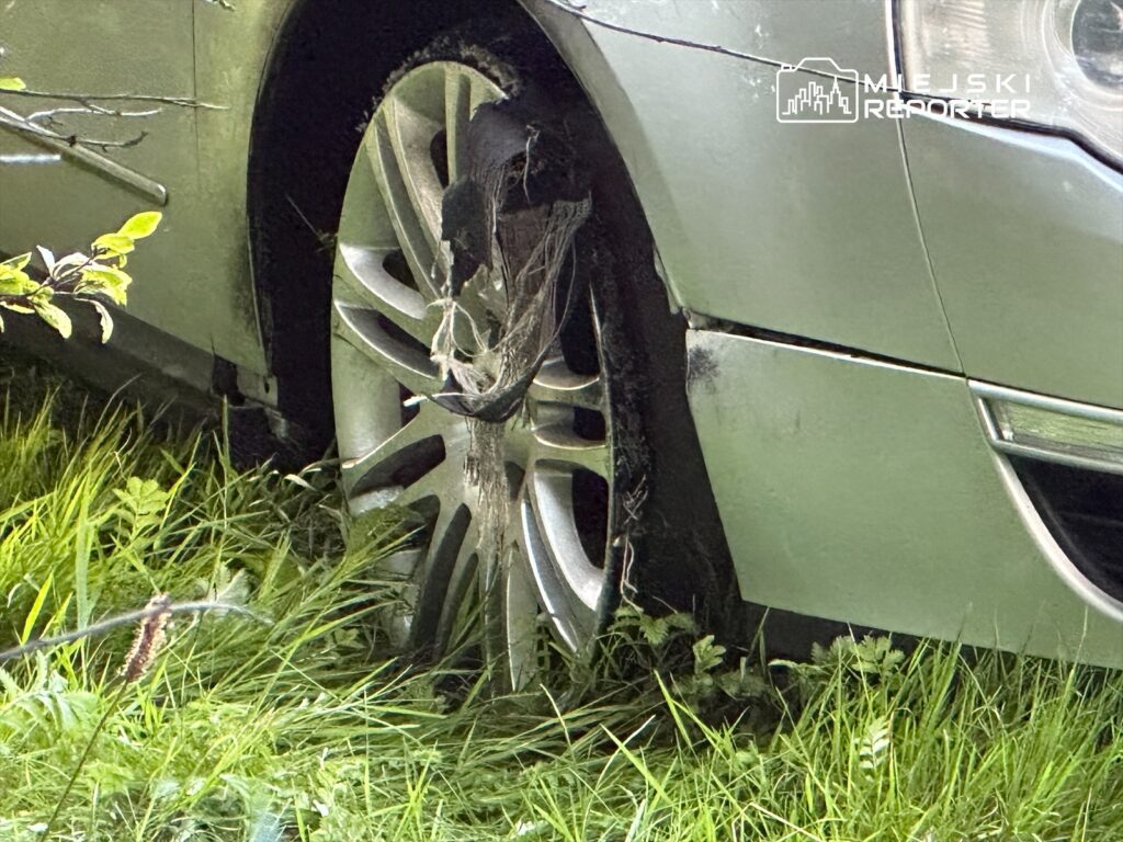 Samochód z uszkodzoną oponą stoi na trawie, otoczony zielonymi roślinami.