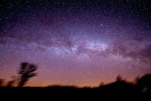 Nocne niebo pełne gwiazd z widoczną Drogą Mleczną w tle oraz zarysem drzew na pierwszym planie.