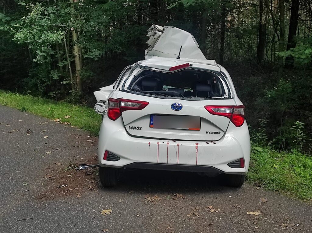 Uszkodzony biały samochód osobowy zaparkowany na poboczu leśnej drogi, z widocznymi śladami krwi na karoserii.