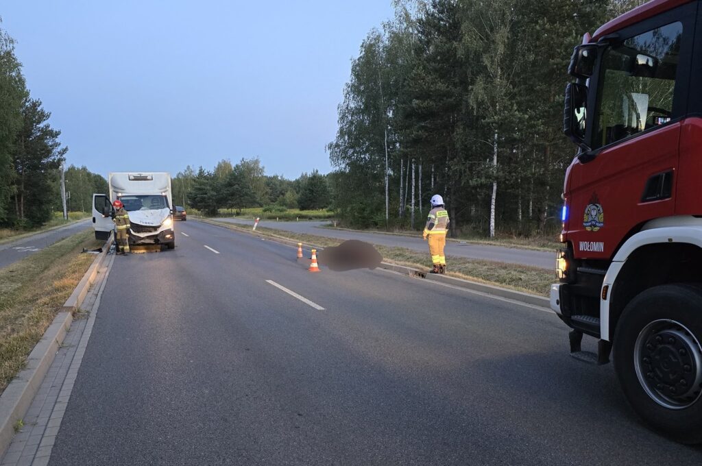 Strażacy zabezpieczają miejsce wypadku na drodze, obok stoi pojazd służb ratunkowych.