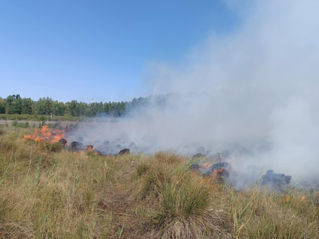 Pożar trawy i zarośli w otoczeniu dymu, na tle błękitnego nieba i lasu.