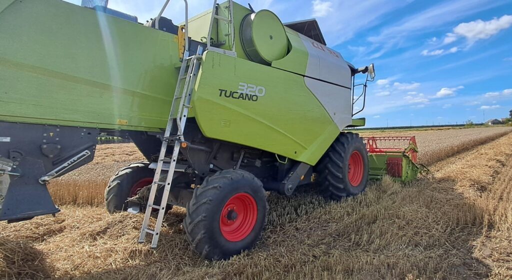 Zielony kombajn zbożowy na polu, zbierający ziarna pod niebieskim niebem.