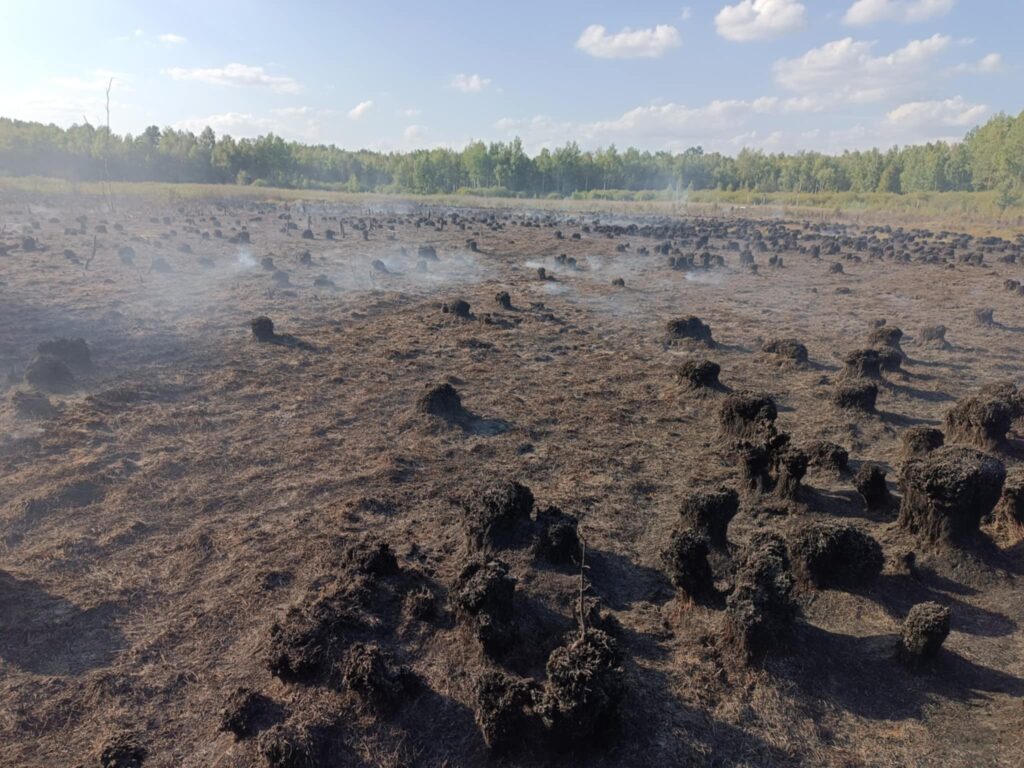 Ziemia pokryta czarnym torfem, z niewielkimi kępami dymu unoszącymi się w powietrzu, otoczona zielonymi drzewami.