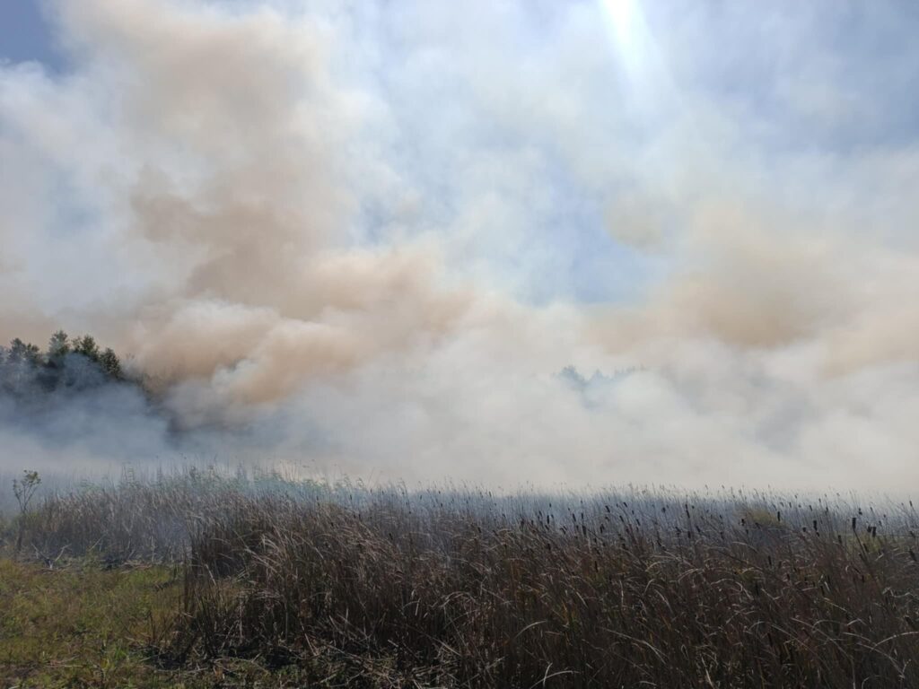 Gęsty dym unoszący się nad trawiastym terenem, w tle zarys drzew na horyzoncie.