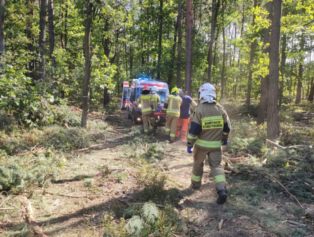 Grupa ratowników w mundurach niesie nosze w lesie, obok stoi pojazd ratunkowy z włączonymi sygnałami świetlnymi.