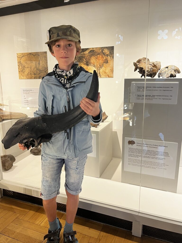 Chłopiec w nakryciu głowy trzyma ząb mamuta w muzeum, w tle widać prehistoryczne rysunki na ścianie.