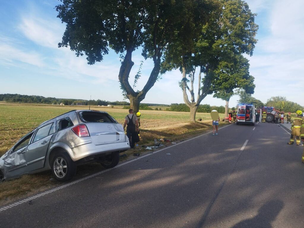 Uszkodzony srebrny samochód stoi przy drodze, obok pracują strażacy i ratownicy medyczni. W tle pola i drzewa.