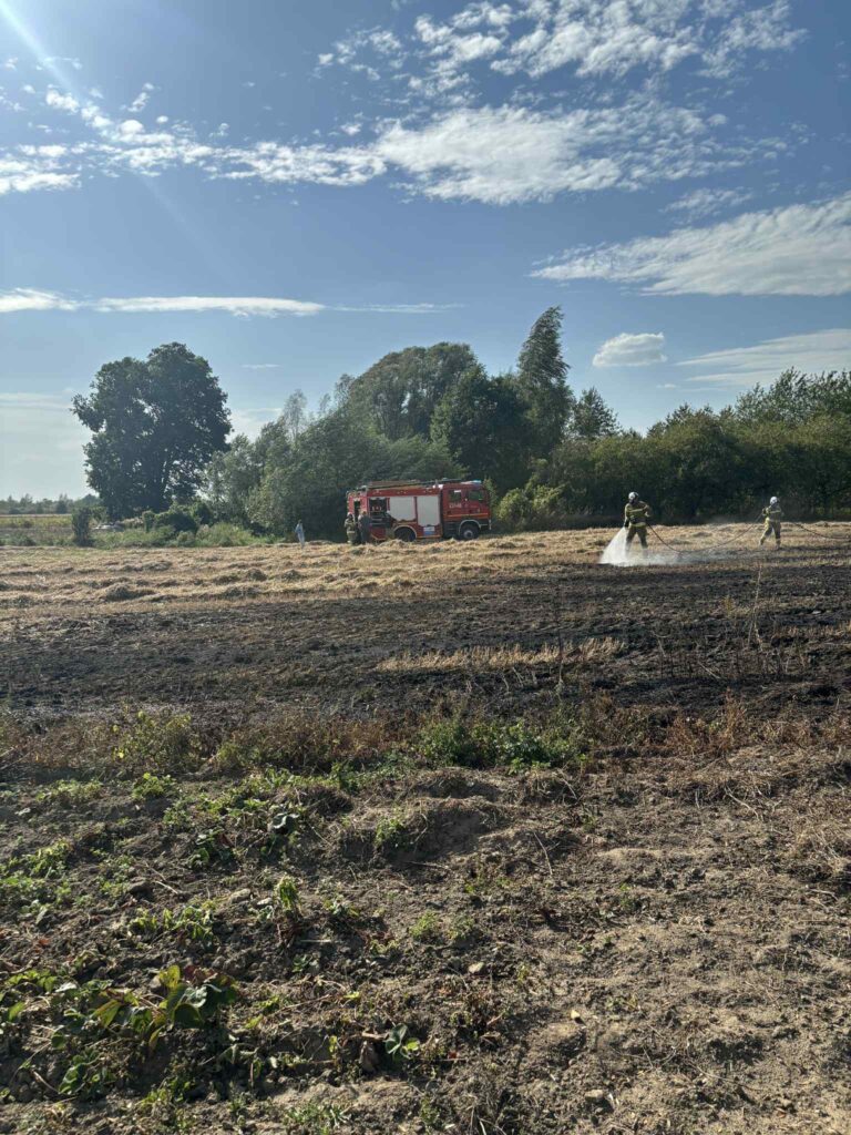 Strażacy gaszą pożar na polu, używając węży strażackich, obok widoczny wóz strażacki i zarośla.