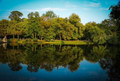 Zielony park z drzewami odbijającymi się w spokojnej wodzie stawu pod błękitnym niebem.