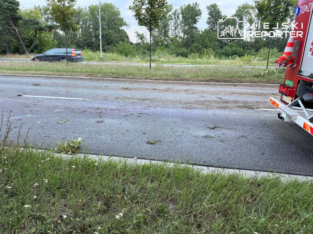 Ruchliwa droga z widocznymi śladami po wypadku, z trawą i kwiatami na poboczu oraz samochodem przejeżdżającym w tle.
