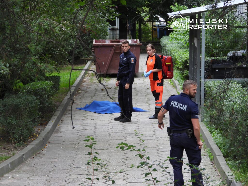 Grupa ratowników i policjantów bada miejsce zdarzenia w parku, obok niebieskiego koca na chodniku.