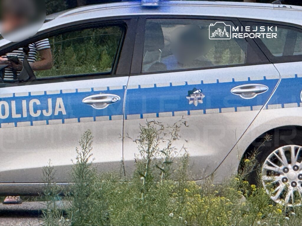 Policjant w mundurze rozmawia obok radiowozu z niebieskimi oznaczeniami na tle roślinności.