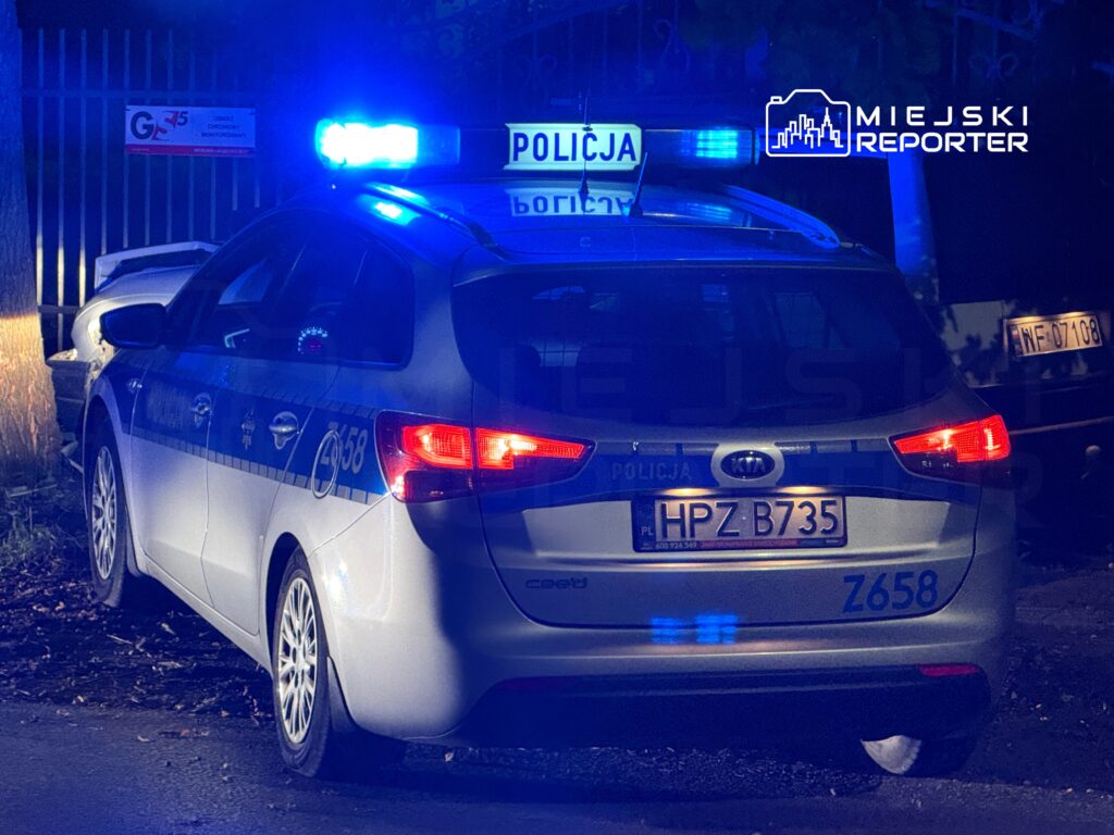 Policyjny radiowóz z włączonymi sygnałami świetlnymi stoi na poboczu drogi w nocy.