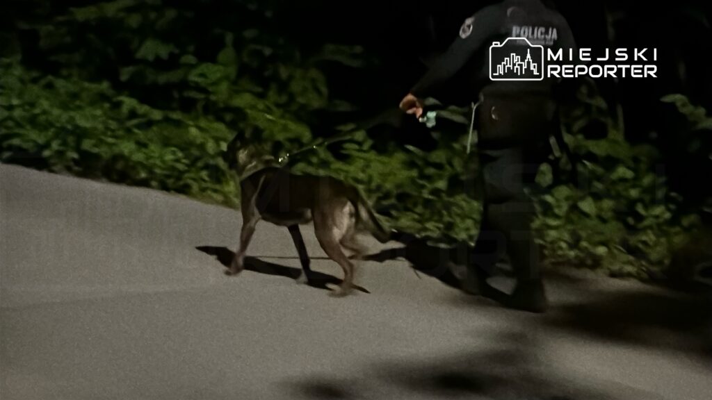 Policjant prowadzi psa służbowego na smyczy w ciemnym otoczeniu, wśród zieleni.