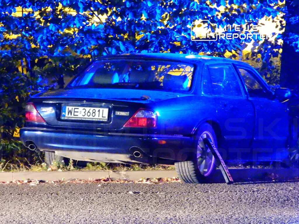 Nieoznakowany niebieski samochód zaparkowany na poboczu drogi, częściowo ukryty za krzewami, w nocy.