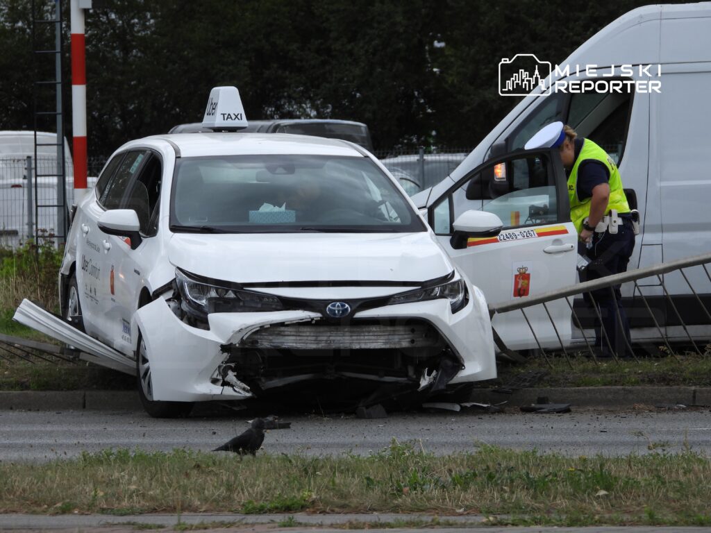 Uszkodzone taxi stoi na poboczu drogi, obok policjant bada okoliczności wypadku. Na trawie przesiaduje kruk.