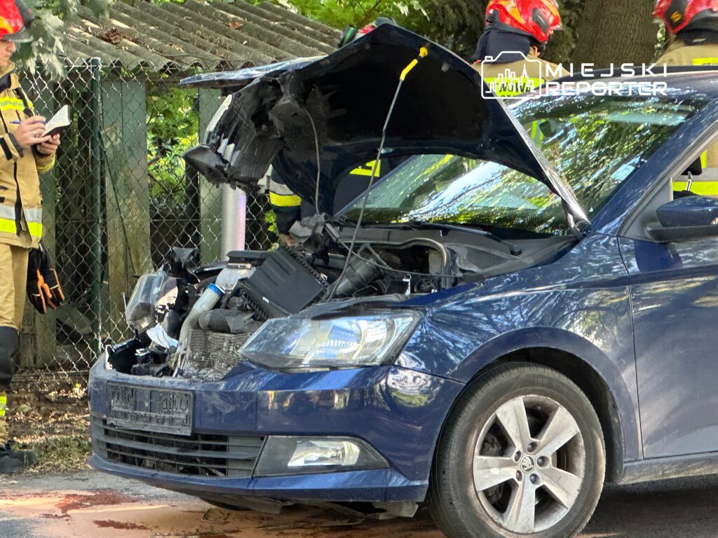 Strażacy oceniają uszkodzenia niebieskiego samochodu osobowego z otwartą maską po wypadku drogowym.