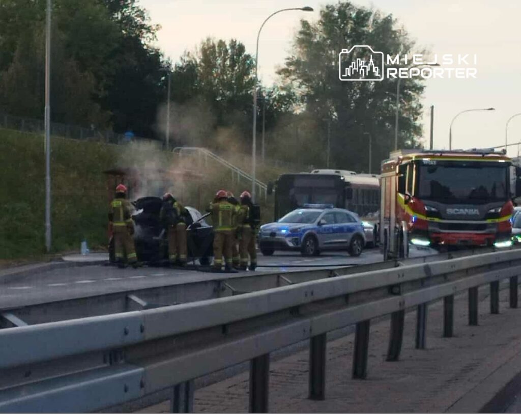 Grupa strażaków gasi pożar w samochodzie na drodze, obok stoją radiowóz i woz strażacki.