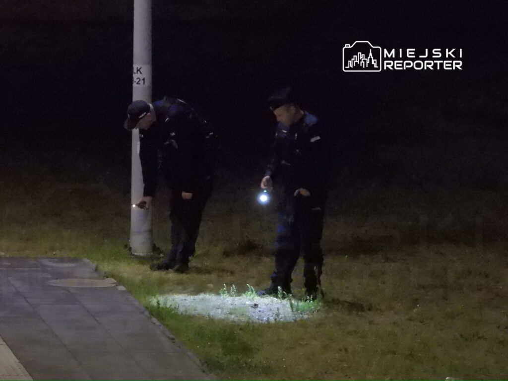 Dwaj policjanci przeszukują teren przy latarni, używając latarek w nocnej scenerii.
