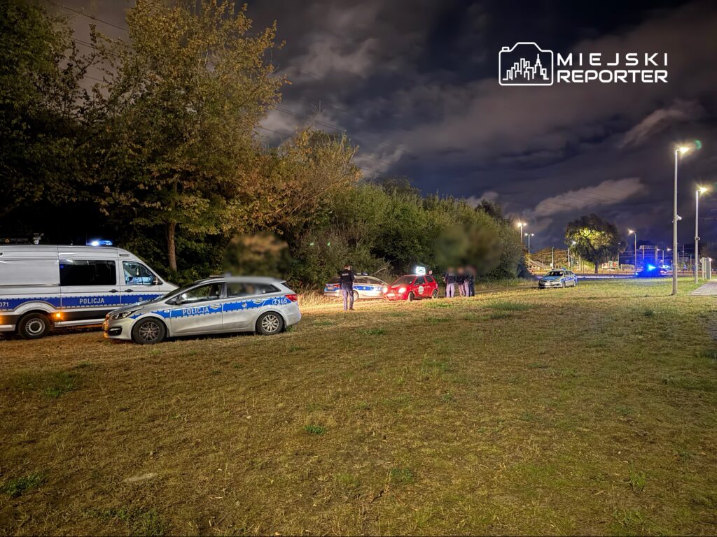 Grupa policjantów prowadzi czynności na oświetlonym poboczu drogi, obok zaparkowanych radiowozów.