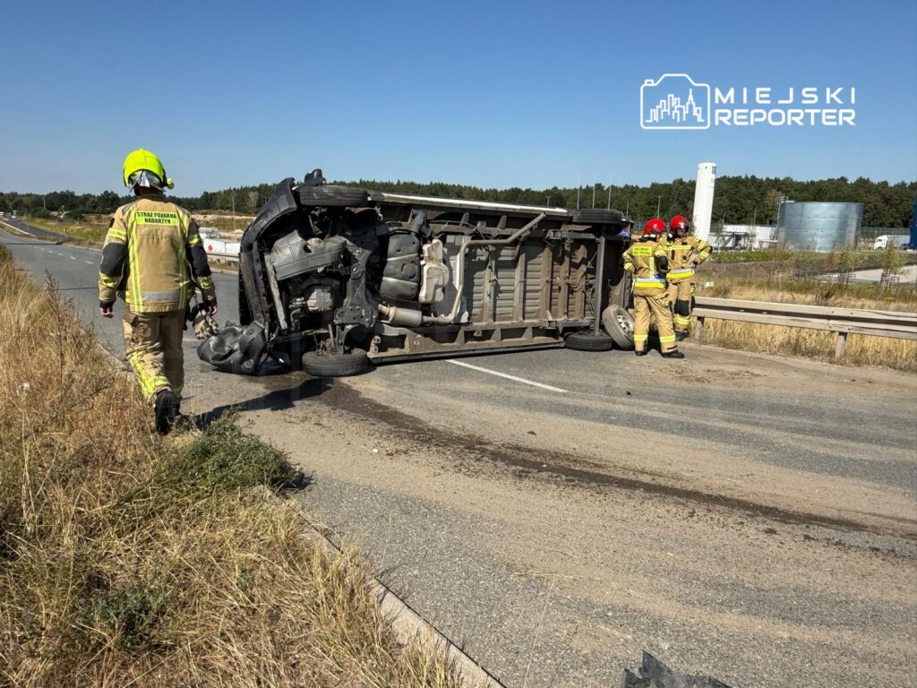 Strażacy w żółtych mundurach oceniają przewrócone auto na drodze, obok widoczne zarośla i asfalt.