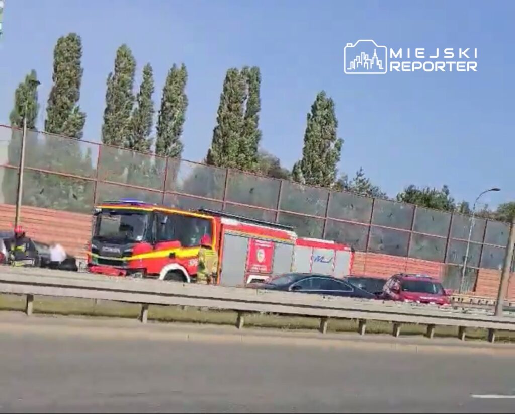 Pojazdy służb ratunkowych zatrzymane obok drogi, w tle rosnące drzewa i ogrodzenie akustyczne.