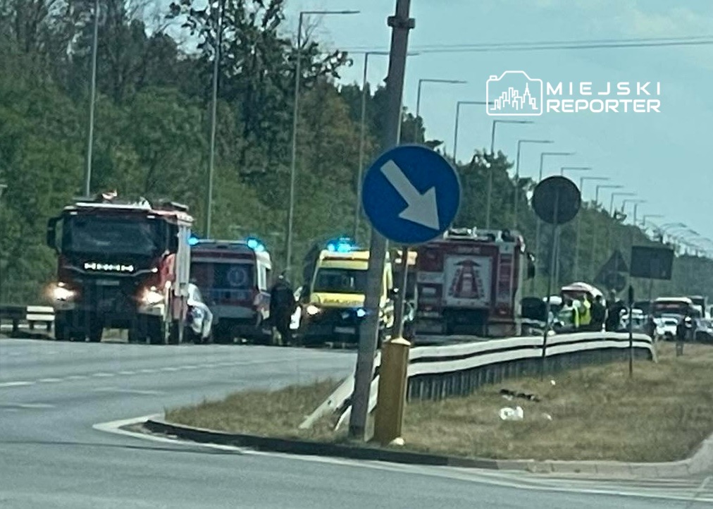 Wielka akcja ratunkowa z udziałem wozów strażackich i ambulansów na drodze, w pobliżu zarośli.