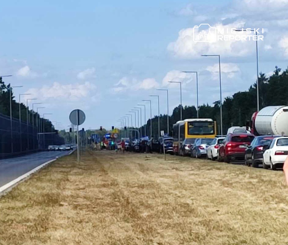 Kolejka pojazdów stojących na drodze, wzdłuż której rośnie trawa, otoczona lasem i słupami oświetleniowymi.