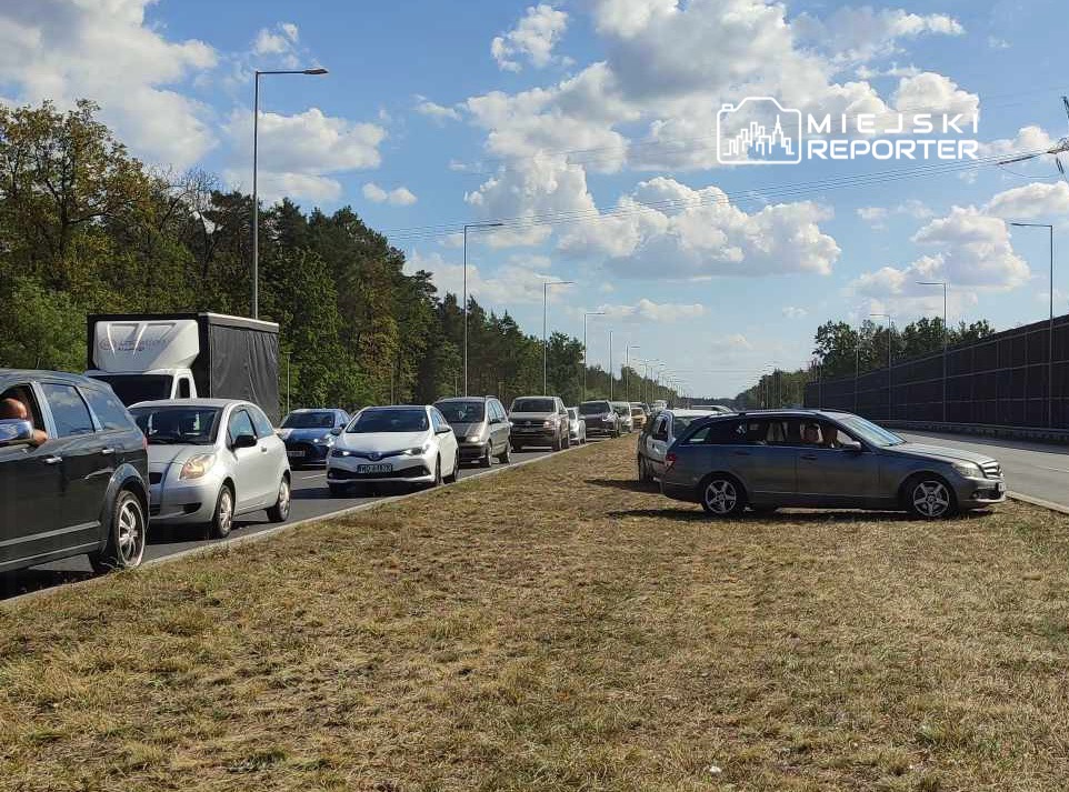 Ruch samochodowy wzdłuż drogi, z zatorami i pojazdami stojącymi na poboczu, otoczony drzewami i niebem z chmurami.