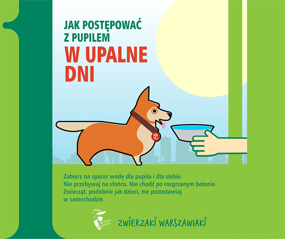 Ilustracja z psem w obroży, który pije wodę z miski trzymanej przez człowieka w słonecznym otoczeniu miejskim.