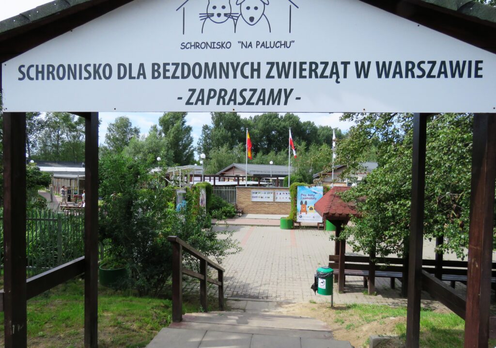 Wejście do schroniska dla bezdomnych zwierząt z tablicą "Schronisko na Paluchu" i ogrodem w tle.