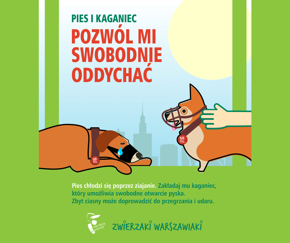 Pies leży na ziemi, a obok niego drugi pies z kagańcem, w tle sylwetki budynków i słońce. Tekst: "Pozwól mi swobodnie oddychać".