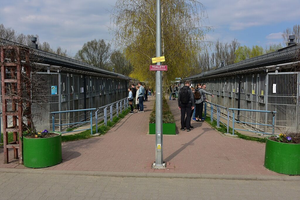 Grupa osób przeglądająca klatki w schronisku dla zwierząt, w tle widoczne drzewa i budynki.