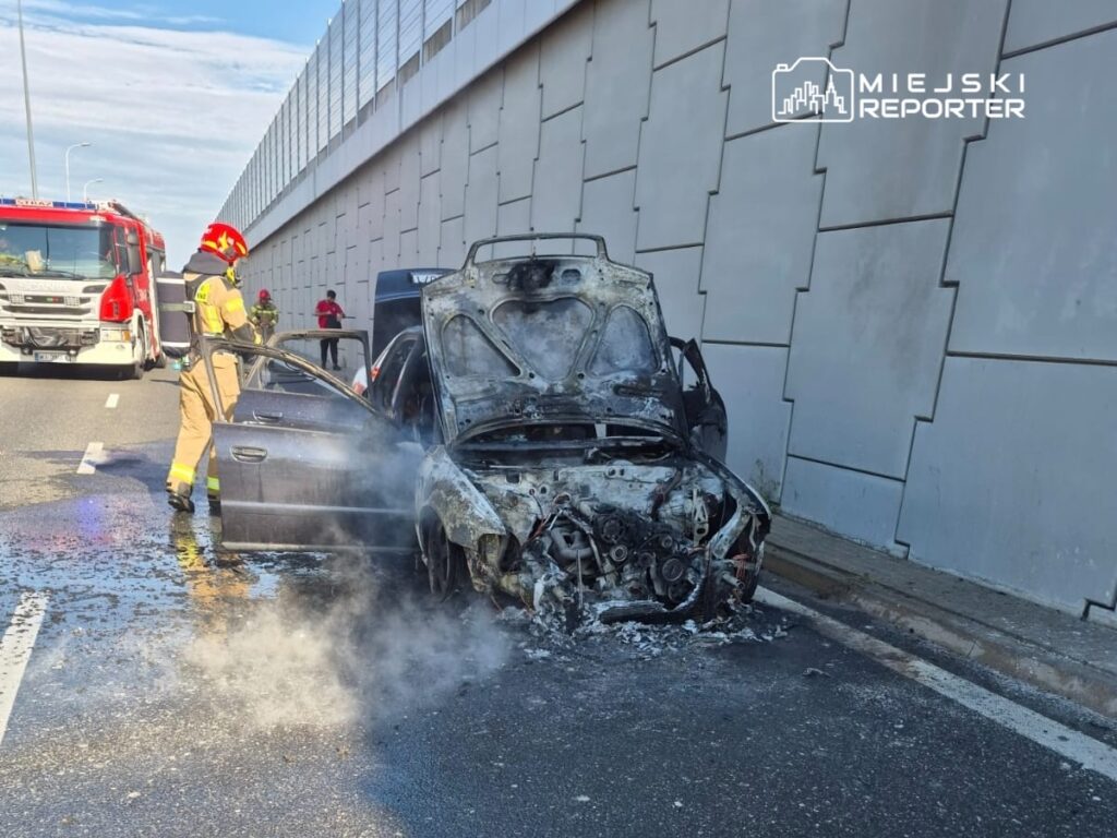 Strażak w mundurze gaśniczym kontrolujący spalone auto na drodze, obok widać wóz strażacki.