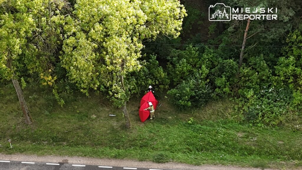 Dwaj strażacy rozkładają czerwoną osłonę wśród zieleni drzew przy drodze.