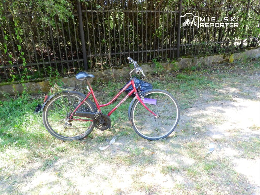 Czerwony rower stojący na trawie obok ogrodzenia, w otoczeniu zieleni i zarośli.