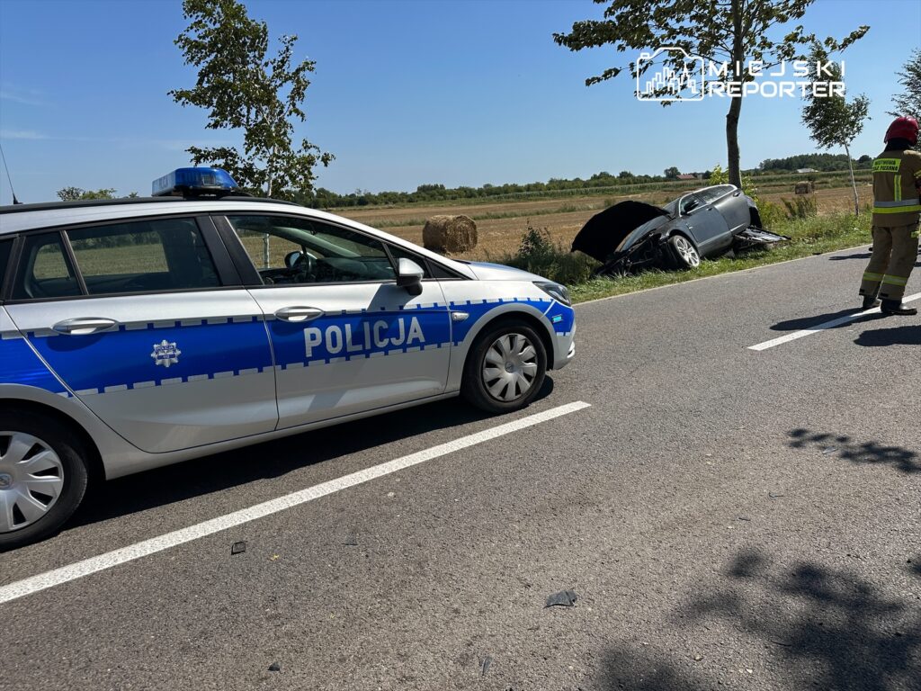 Policyjny radiowóz stoi obok drogi, obok zniszczonego samochodu leżącego w polu, a strażak ocenia sytuację.