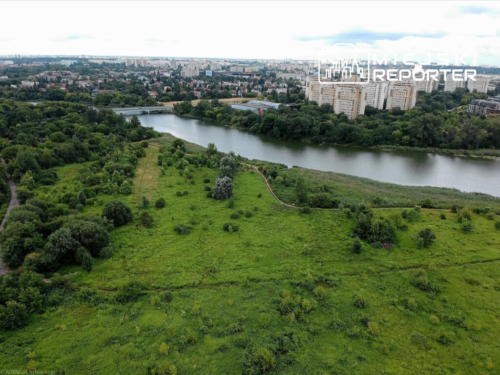 Zielona przestrzeń z drzewami i krzewami, rzeka z łagodnym brzegiem oraz budynki mieszkalne w tle.